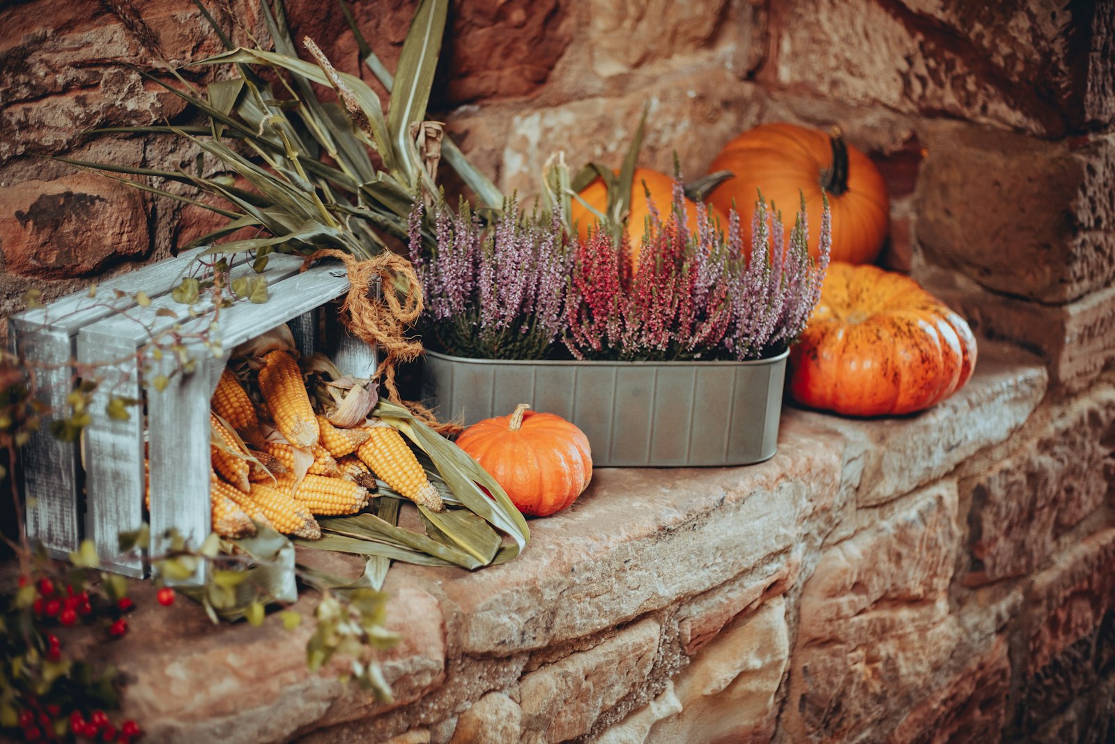 Blumenzwiebeln setzen im Herbst: Tiefe, Abstand und Zeitplan nach Art